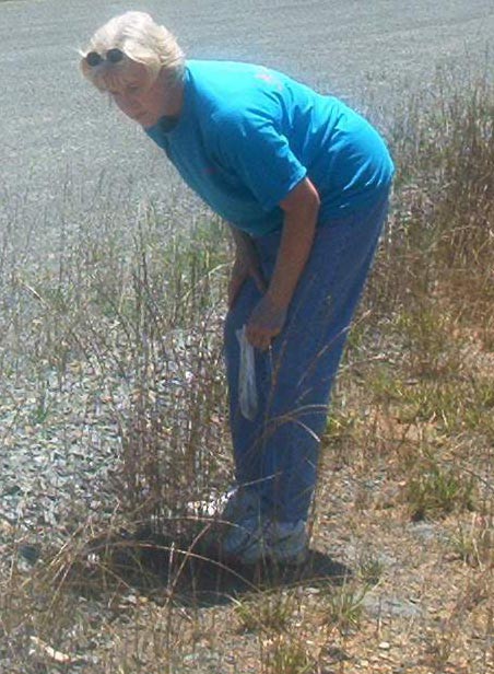 hunting fossils at site