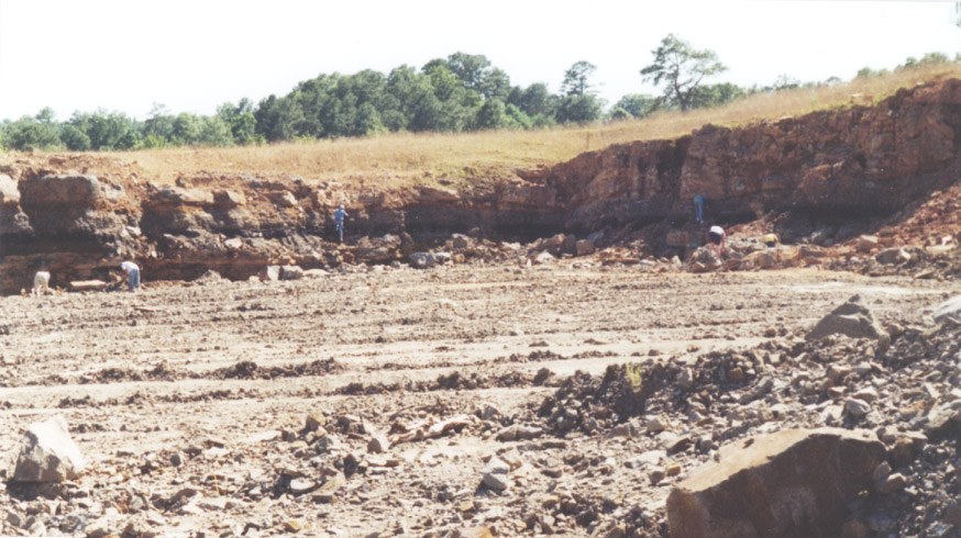 hunting fossils at quarry