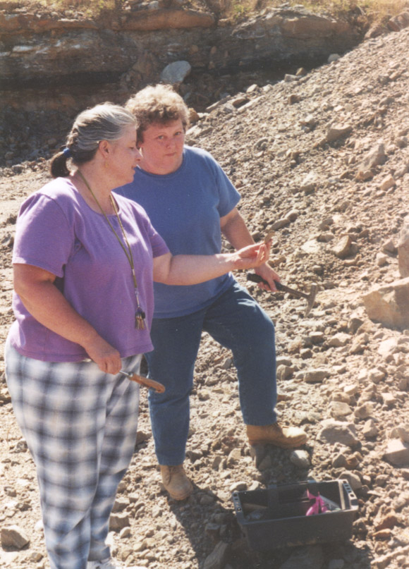 looking at fossils