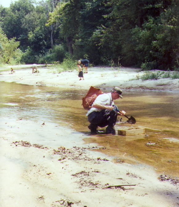 collecting fossils in the creek