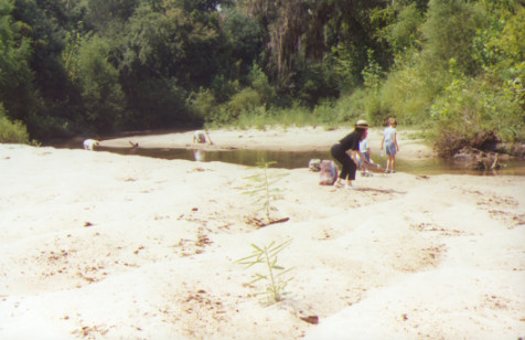 collecting fossils in the creek