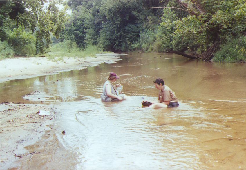 collecting fossils in the creek