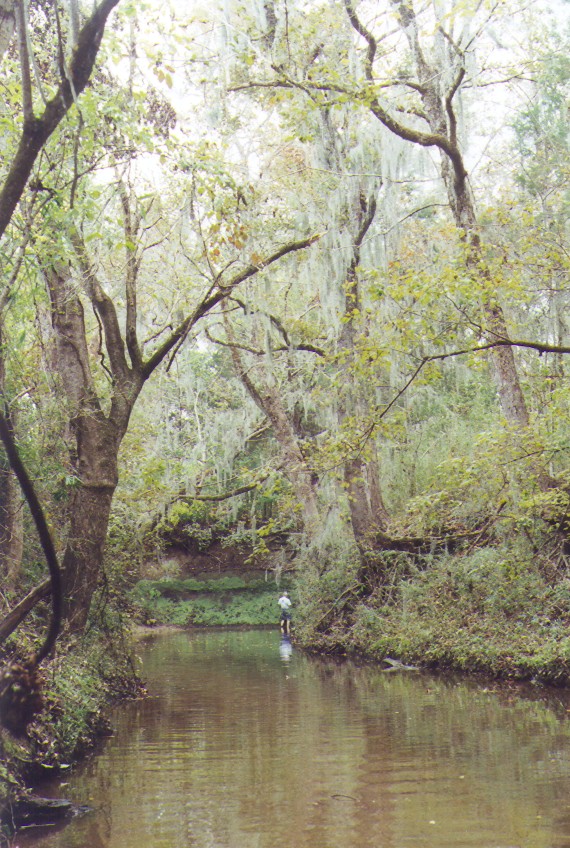 hunting fossils in creek