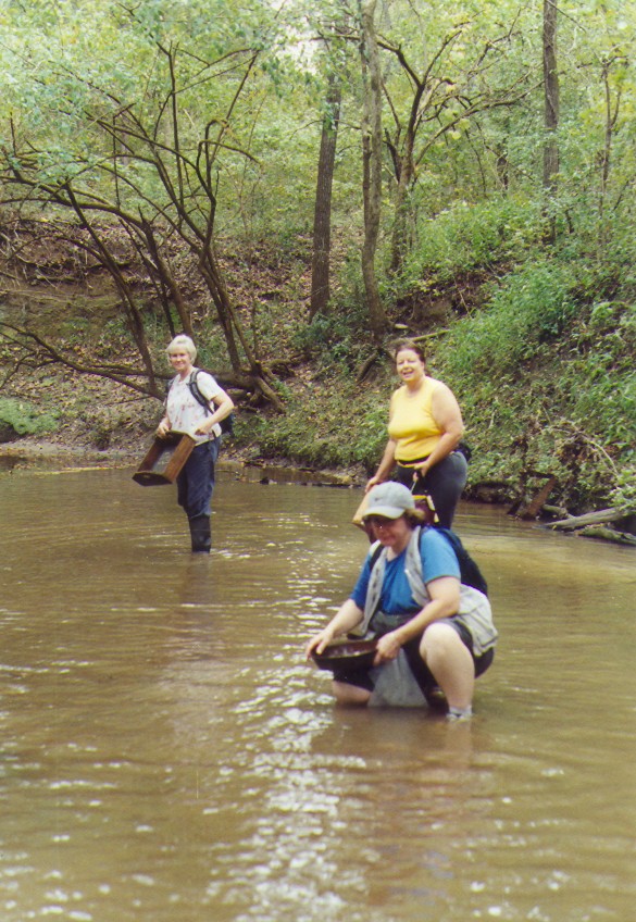 hunting fossils in creek