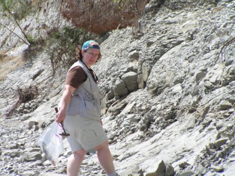 hunting fossils in chalk bluffs