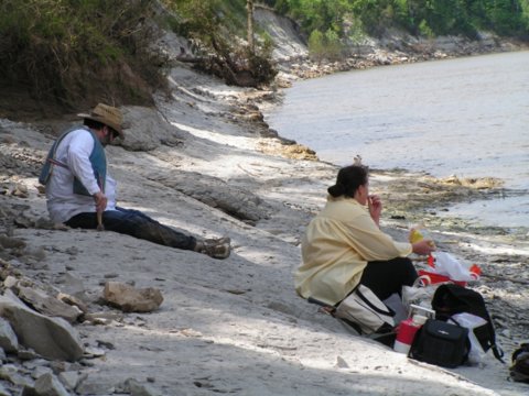 hunting fossils in chalk bluffs