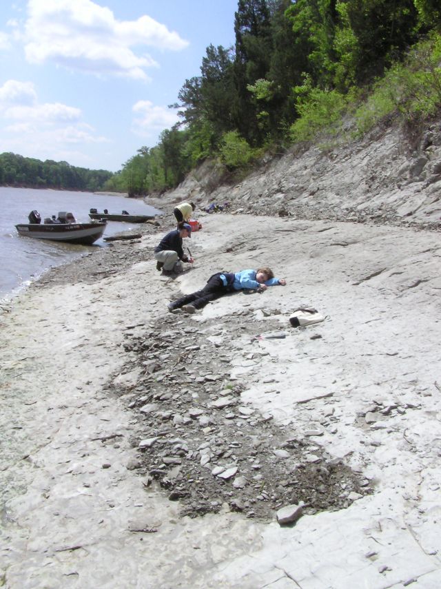 hunting fossils in chalk bluffs