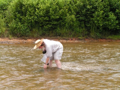 hunting fossil wood by creek