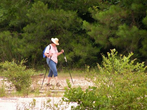 hunting fossil wood by creek