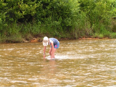 hunting fossil wood by creek