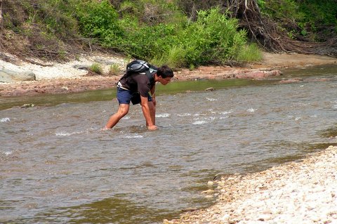 hunting fossil wood by creek