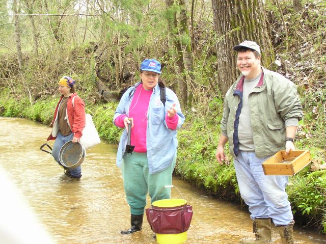 hunting shark teeth in creek