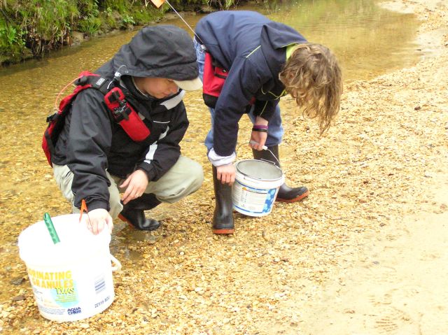 hunting shark teeth in creek