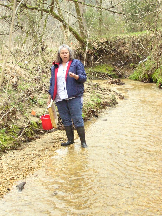 hunting shark teeth in creek