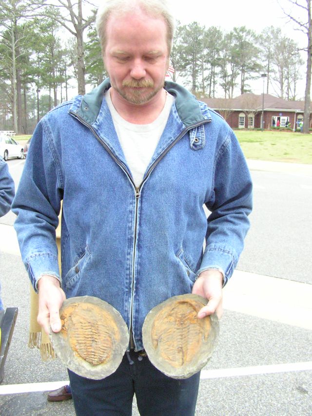 giant fossil trilobites