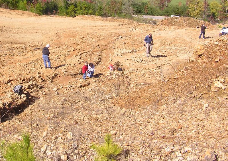 searching for fossils