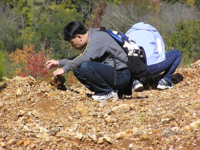 searching for fossils