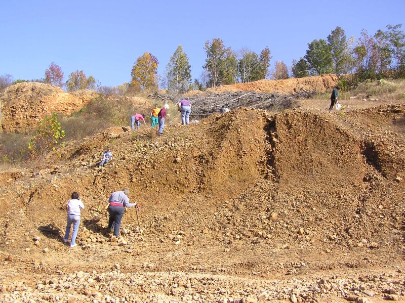 searching for fossils