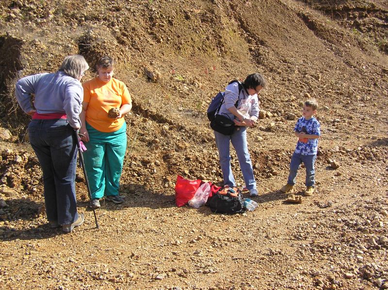 searching for fossils