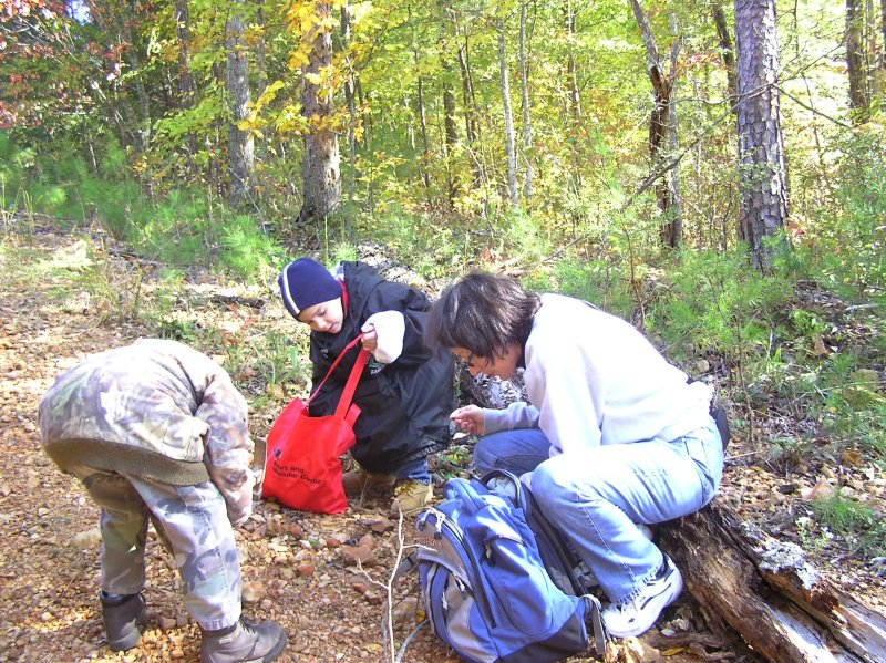 searching the roadbed for fossils