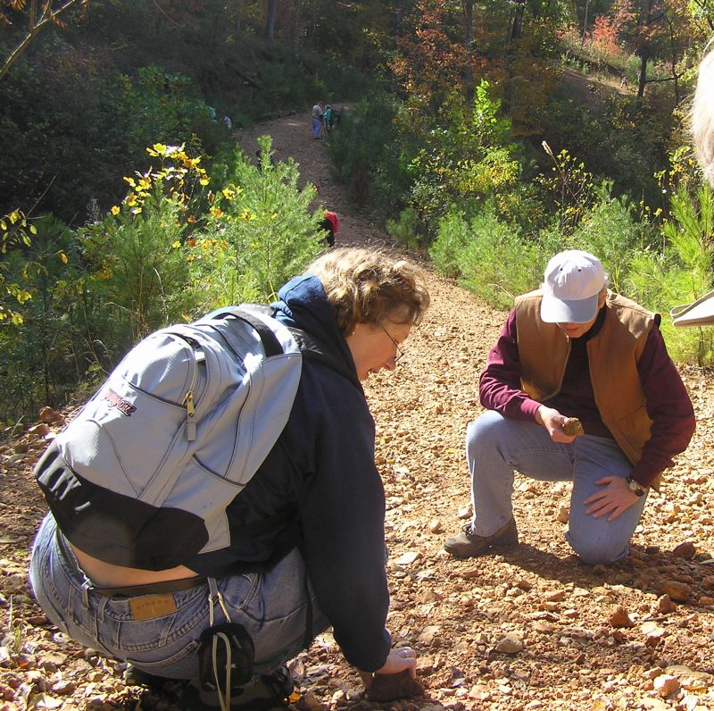 searching for fossils