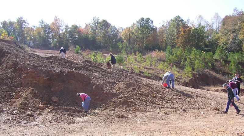 searching for fossils