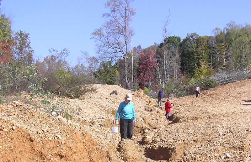 searching the ditches for fossils