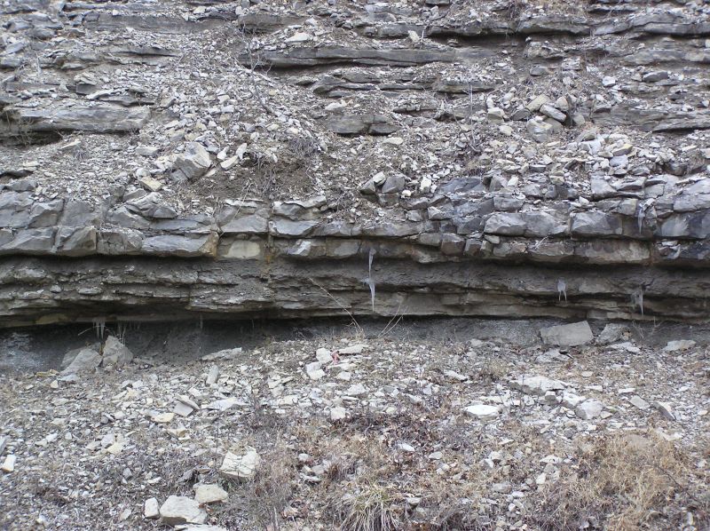 geologic layers