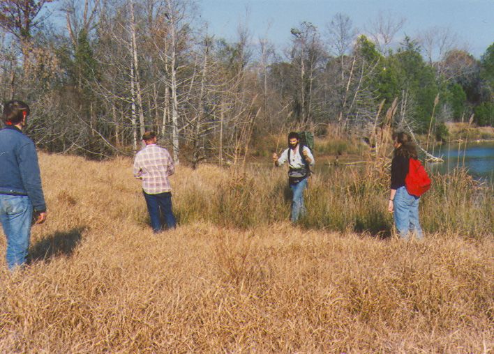 quarry