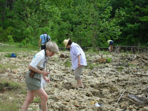 hunting fossils by creek