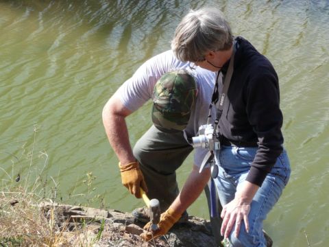 collecting trilobites