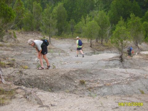 Late afternoon collecting in the gully