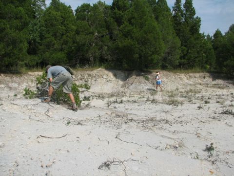 searching in gully