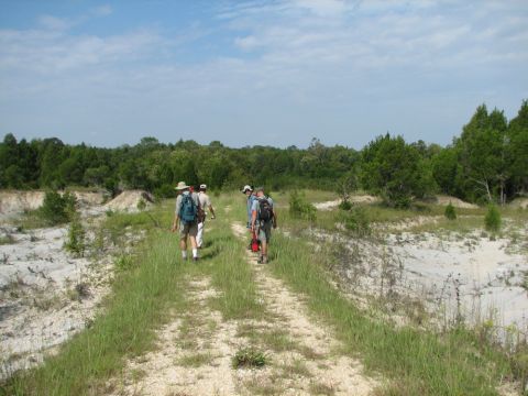 hike to gully