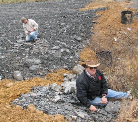 people hunting fossils