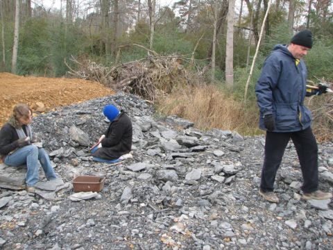 fossil site