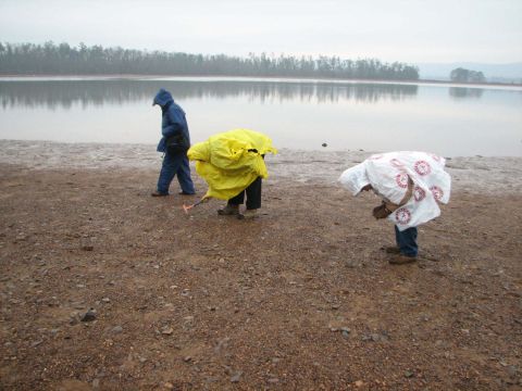 Collecting along the lakeshore, in hopes of finding a brooksella.